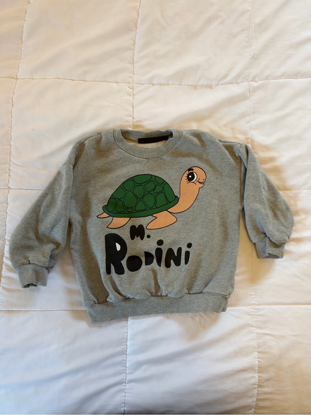 Mini Rodini Grey Sweatshirt with Green Turtle Graphic